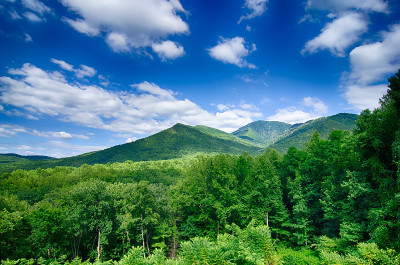 卡洛斯·坎贝尔在大烟山俯瞰