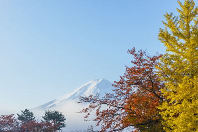 富士山秋叶