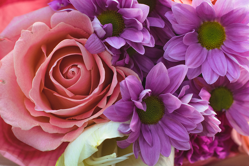 Colourful spiral bouquet of large pink rose, white