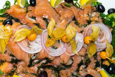 Salmo salar