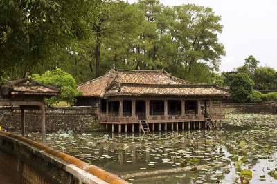 Huè -雨在池塘和荷花
