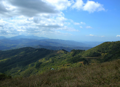 山