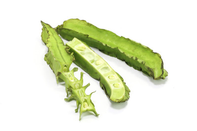 飞豆果阿豆