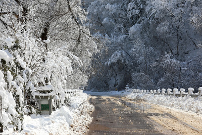 冬天下雪的森林路。(韩国江原道御田山国家公园)