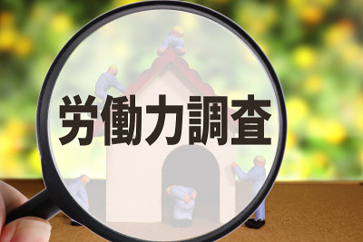 劳动力调查