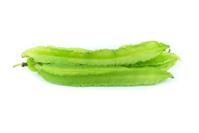 幼龄飞豆，四角豆