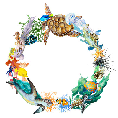 圈环热带礁鱼，海龟，海马，水母，鱿鱼，珊瑚，海葵，海藻，鹦鹉螺等软体动物。手画水彩。