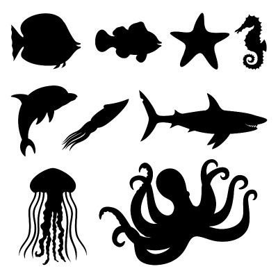 海洋动物和鱼类。