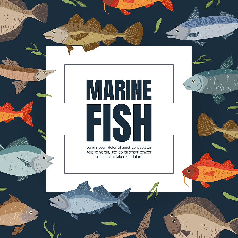 Marine Fish Banner Template, Seafood Market, Shop,