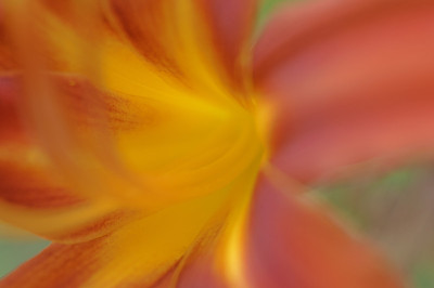 开花