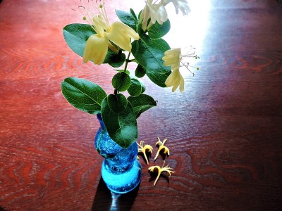 野花。花束。阳光