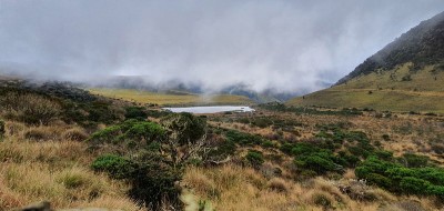 山景观