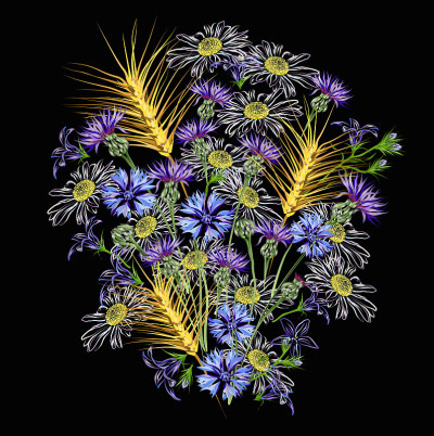 野花(矢车菊，雏菊，铃花，麦穗)，矢量插图。