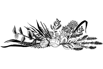 野生花草画黑线。