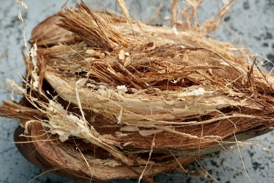 椰子壳的外皮在地下剥去。剥去椰壳外层皮即可得到椰子果实。