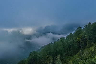 俯视云雾，云雾在山中