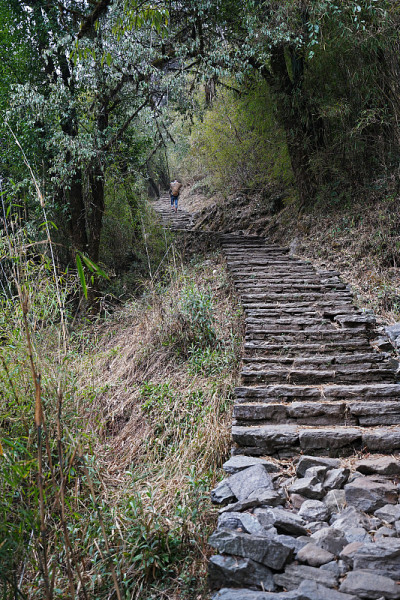 沿着石阶与村庄徒步前往潘山，安娜普纳喜马拉雅山脉