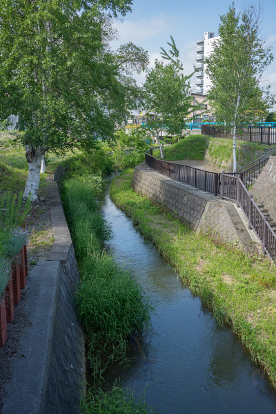 小河流和堤防