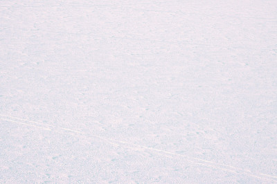 积雪
