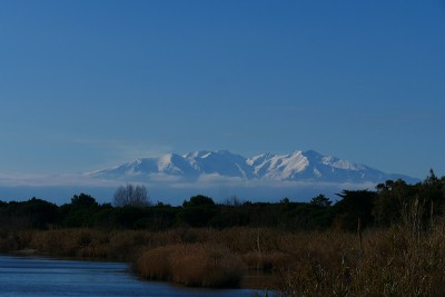背景是阿格利河岸和白雪覆盖的Canigou, Pyrénées-Orientales