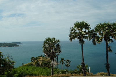 海景和岛屿，棕榈树郁郁葱葱