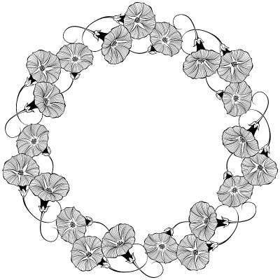 花圆形框架与旋花在一个白色的背景。矢量插图与文字的地方。贺卡、请柬或孤立元素的设计。