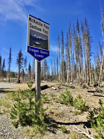 麦肯齐pass santiam pass俄勒冈风景绕道标志-全景