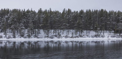 白雪皑皑的森林与平静的湖泊尽收眼底
