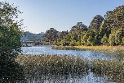 阿根廷，Villa Pehuenia, Alumine Lake