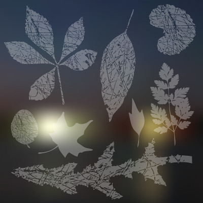 向量收集的叶片剪影，叶片模糊的背景，垃圾纹理