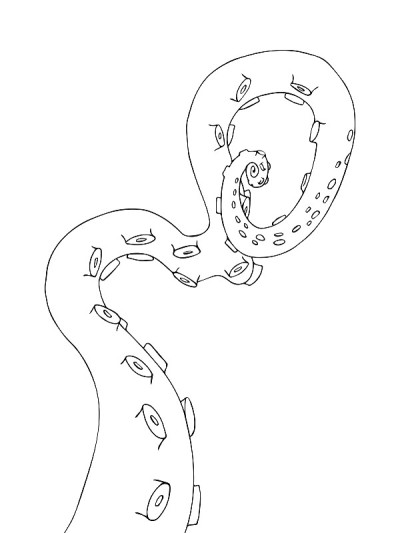 矢量素描卡通章鱼触手