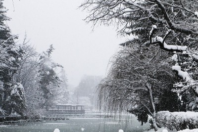 下雪的公园