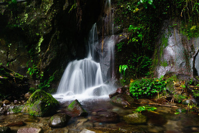 泉水来源