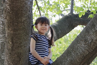 日本女孩爬树(5岁)