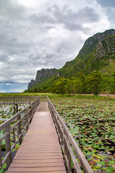Sam Roi Yot淡水沼泽，走过沼泽，在泰国Prachuap Khiri Khan的Sam Ro