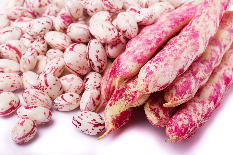 borlotti bean孤立