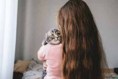美丽的苏格兰折叠小猫坐在孩子的肩膀上，向上看。