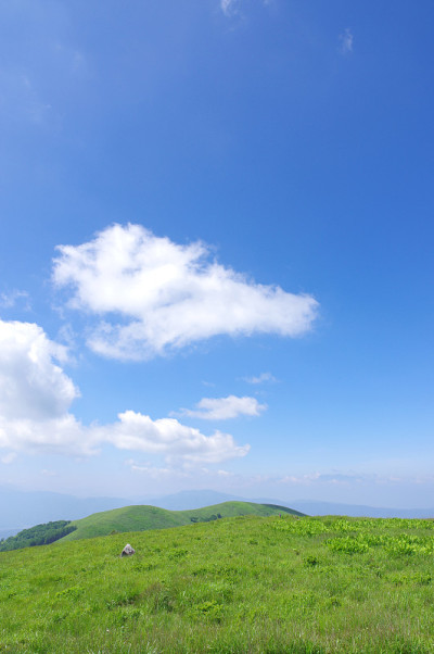 夏季的基利甘明高原