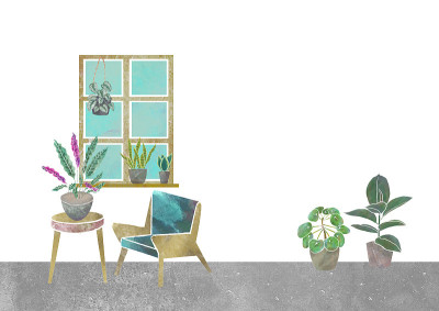白色背景室内植物绿色水彩插图