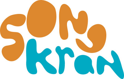 输入错误向量'songkran'