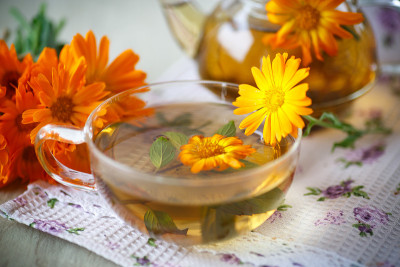金盏花草本茶