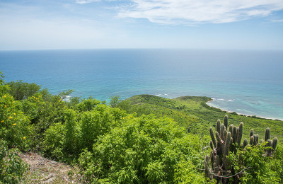 加勒比海山羊山景色