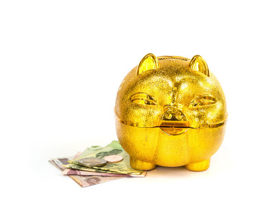 中国金猪储蓄罐