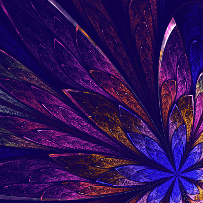 美丽的分形花朵，深蓝色，粉红色和紫色。