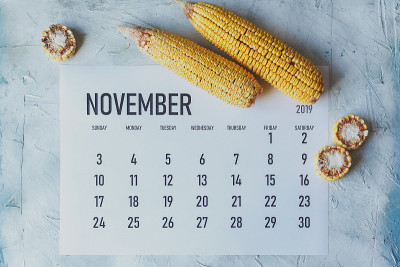 11月日历。秋季和秋季的概念。收获时间。