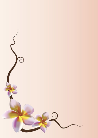 鸡蛋花