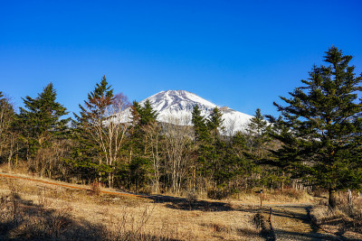 在水津冢公园，我欣赏着富士山在冬季渐近的景色。