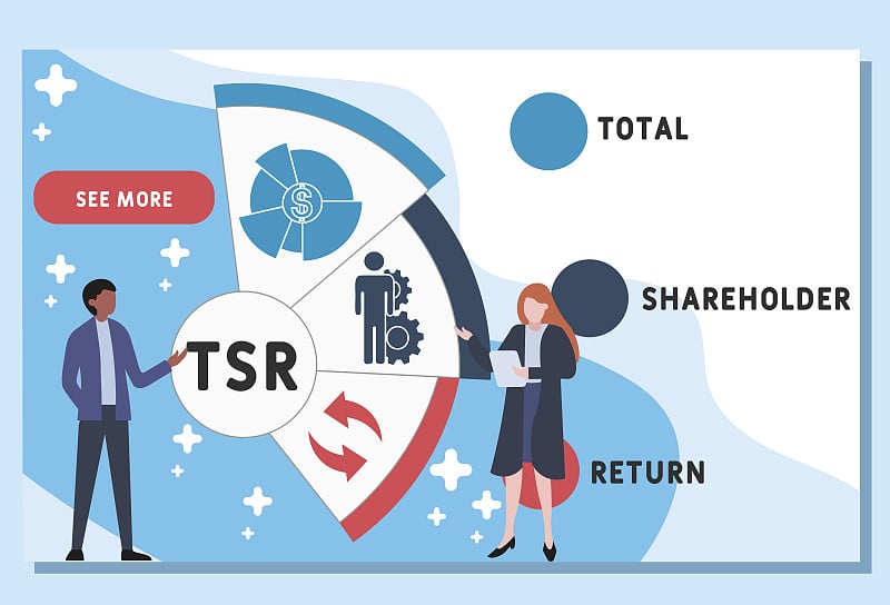 矢量网站设计模板。TSR -总股东回报的缩写，经营理念。