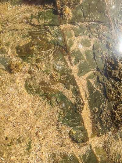 葡萄牙萨莫奎拉海滩岩石中的清洁水