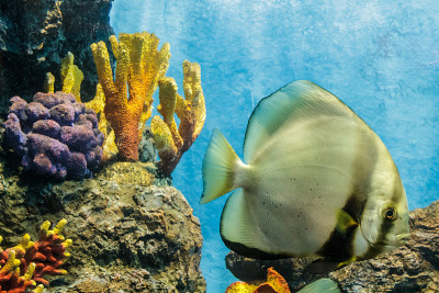 水族馆